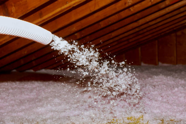 Best Insulation Repair Services  in Lugoff, SC