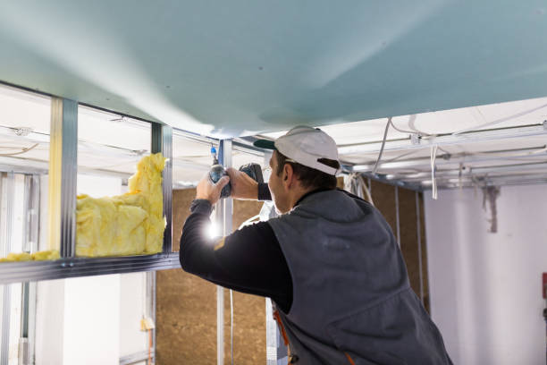 Best Attic Insulation Installation  in Lugoff, SC