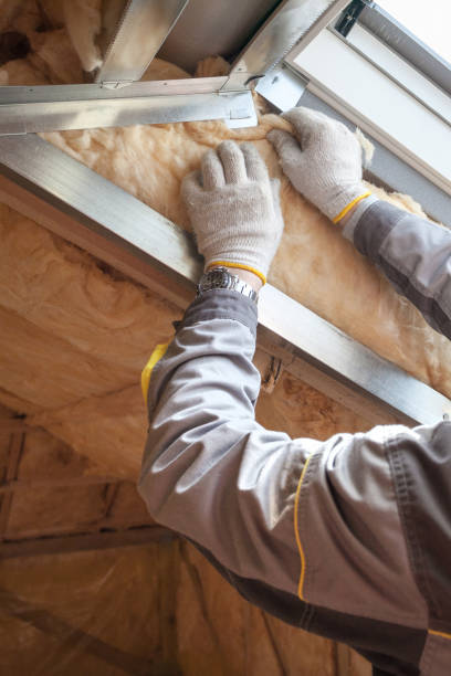 Insulation Replacement Services in Lugoff, SC