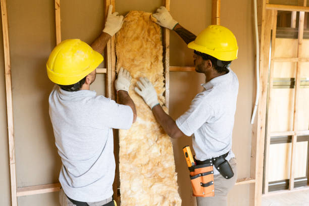 Best Blown-in Insulation  in Lugoff, SC