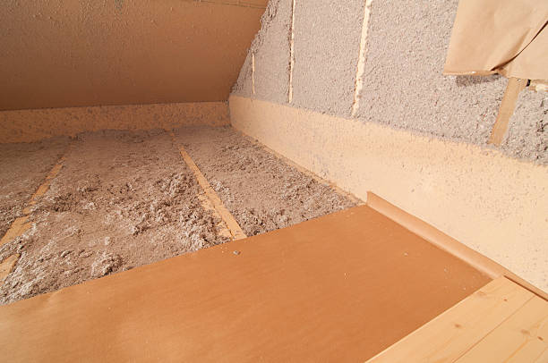 Trusted Lugoff, SC Insulation Contractor Experts